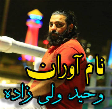 وحید ولی زاده نام آوران